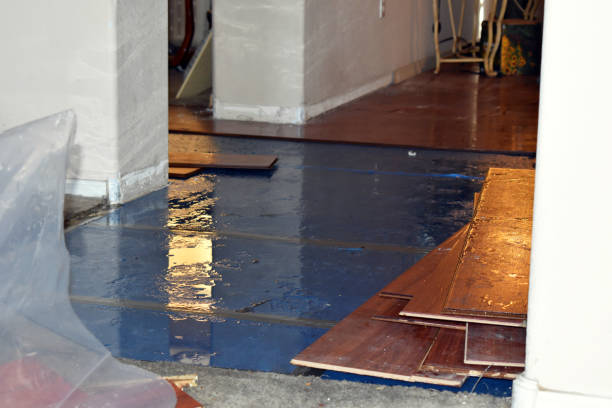 Professional Emergency Water Damage Restoration technician working in Woodville, OH